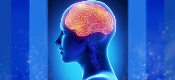 Acumentem slider - 3